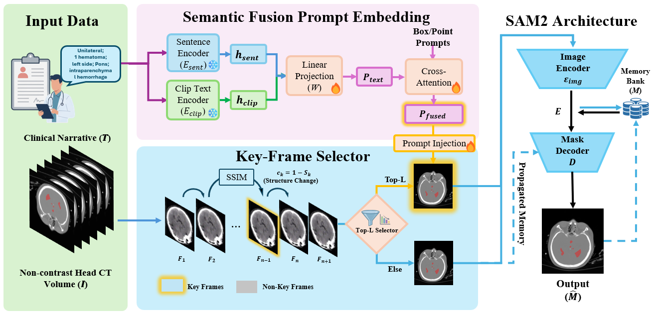CLangSAM-2: Clinician-Language-Guided Segment Anything Model for Intracranial Hemorrhage Segmentation